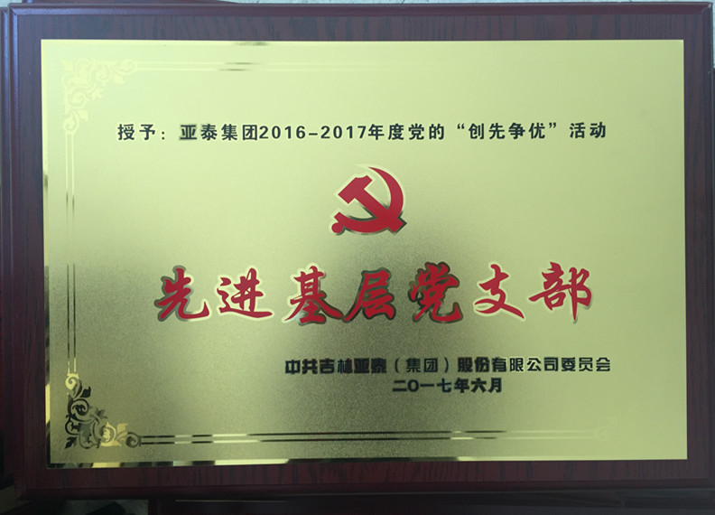 7.亚泰集团2016-2017年度党的“创先争优”活动先进基层党支部-2017.6_副本.jpg