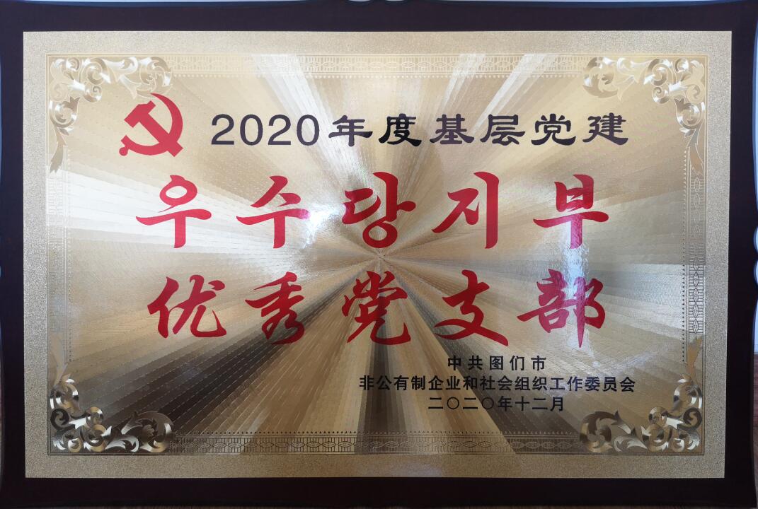 2020年度基层党建优秀党支部1.jpg